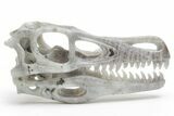 Carved Labradorite Dinosaur Skull #218497-1
